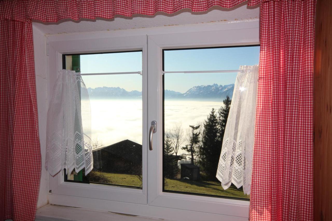 Fernblick