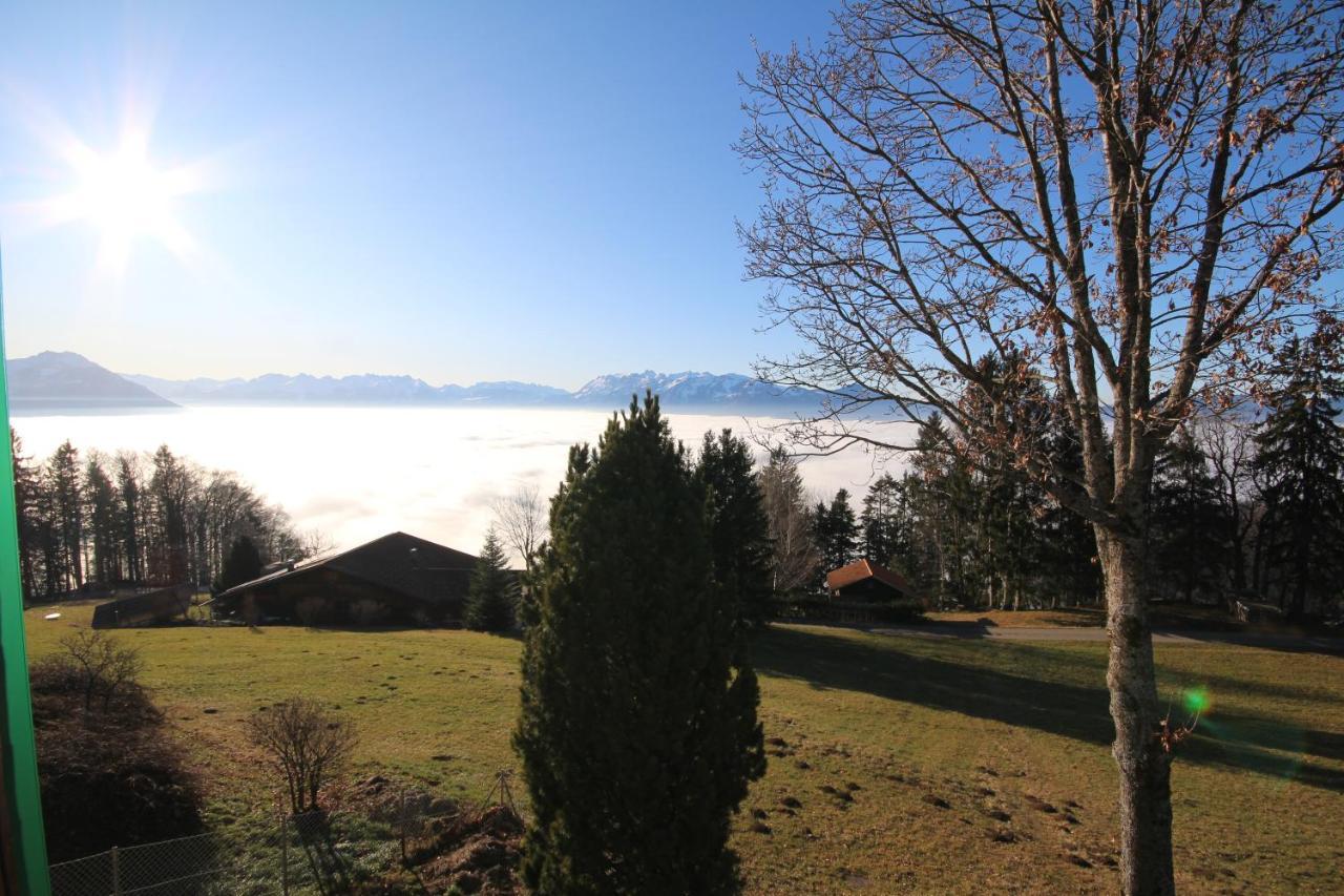 Fernblick *