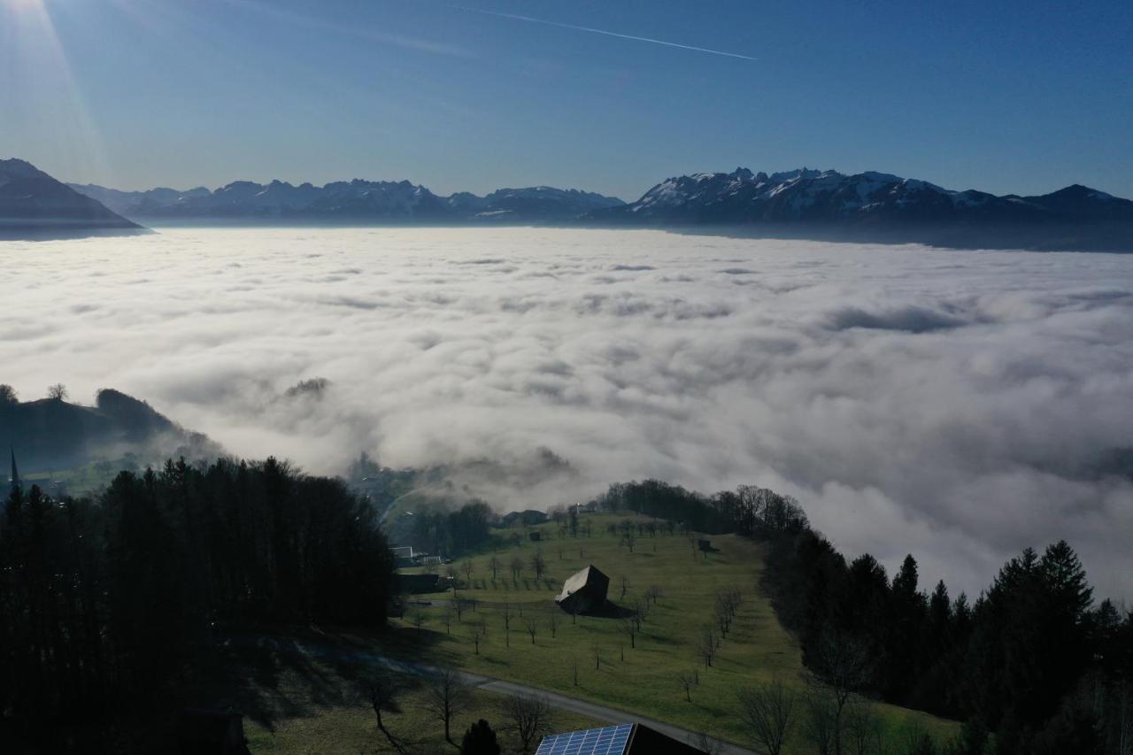 Fernblick