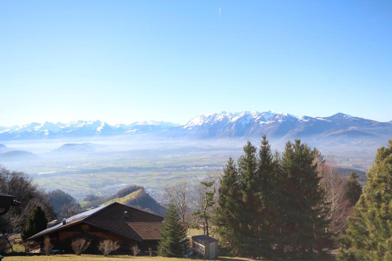 Fernblick